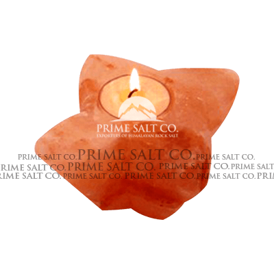 Himalayan Salt Leaf Candle Holder